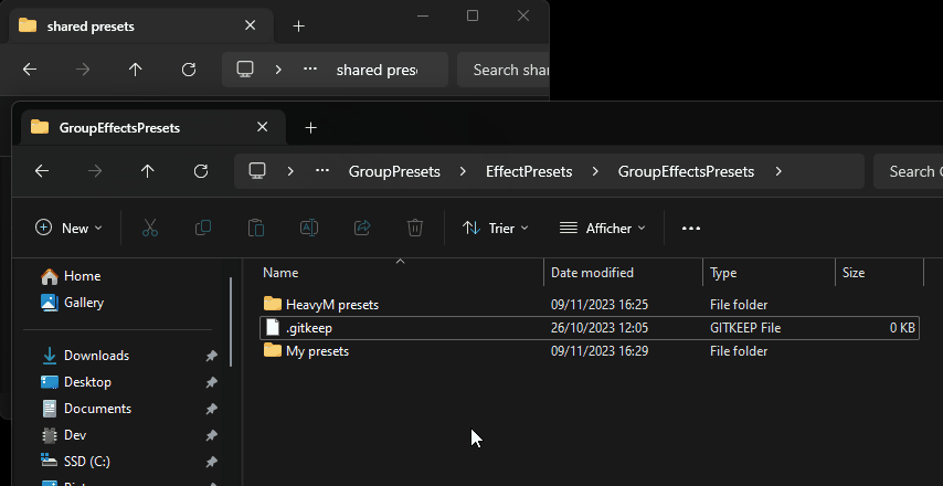 import-presets.gif